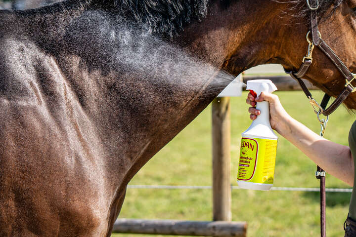 ZEDAN Insektenschutz Sprühlotion